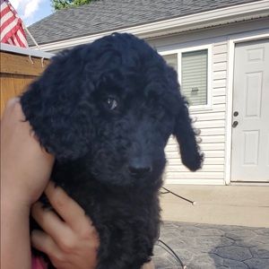 Meet your Posher, Kaitlyn